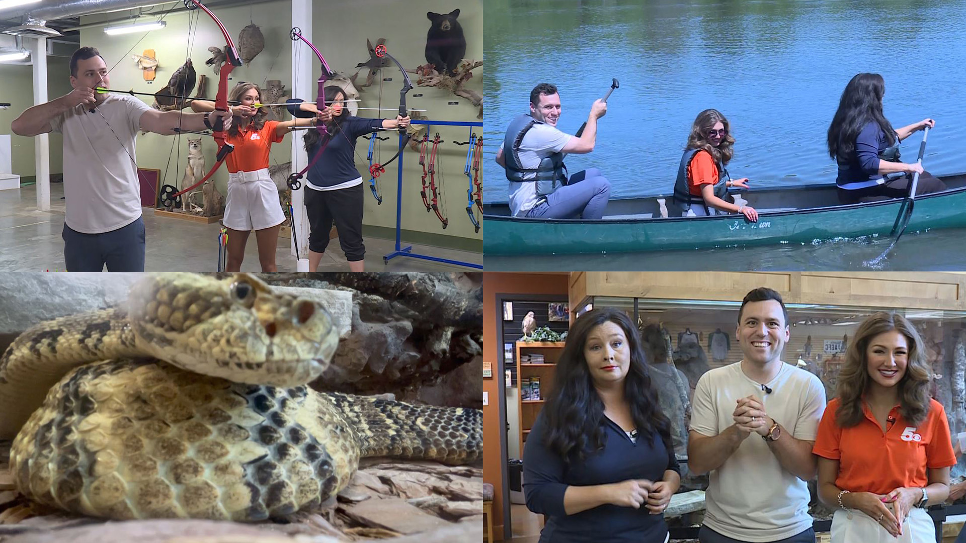 On this episode of Around the Corner, the 5NEWS morning crew got some wildlife education where they witnessed a live feeding of a timber rattlesnake.